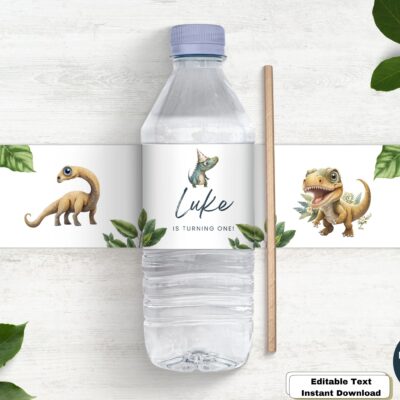 Dinosaur Party Water Bottle Labels Digital