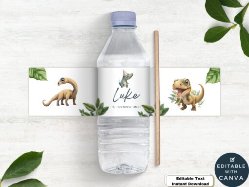 Dinosaur Party Water Bottle Labels Digital