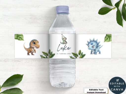 Digital Dino T-Rex Waterbottle Party Labels